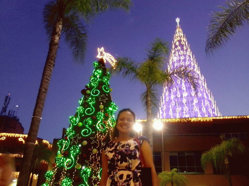 IMG_20131121_193621-TWINKLE