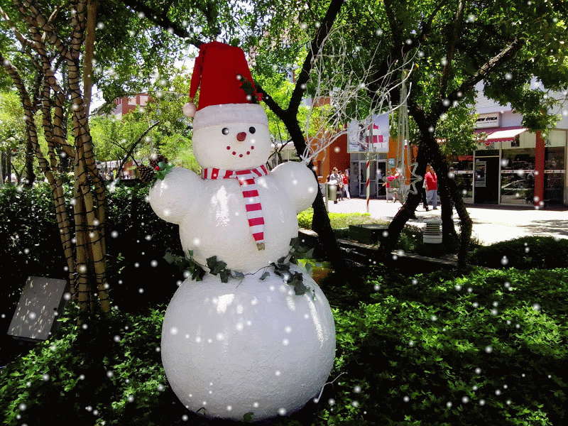 IMG_20131203_130900-SNOWGLOBE
